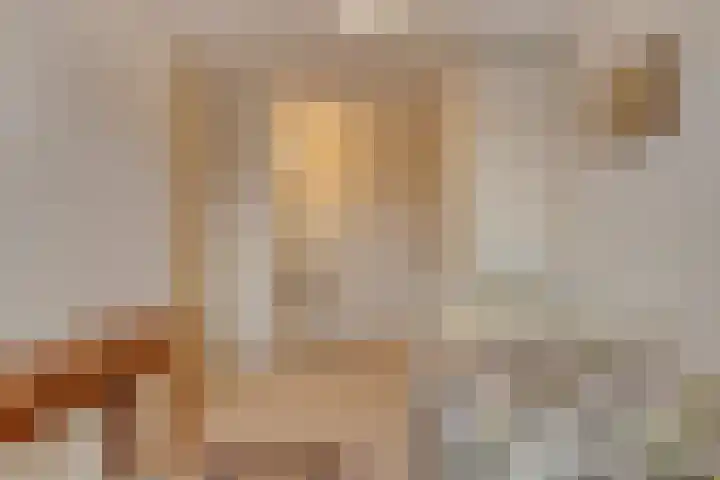 Jaagvelden 84 Best thumbnail 25
