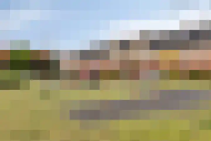 Jaagvelden 84 Best thumbnail 32