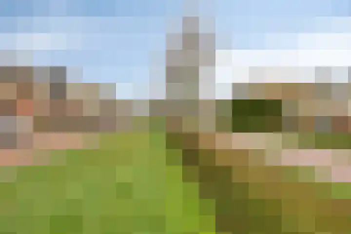 Jaagvelden 84 Best thumbnail 33