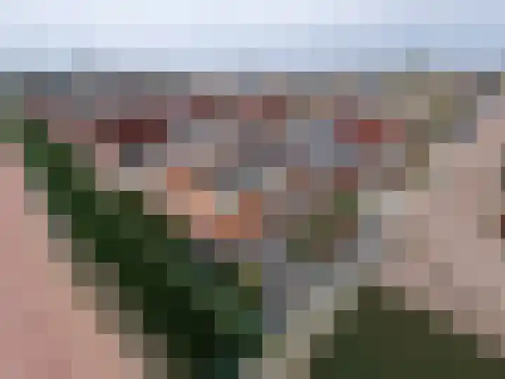 Jaagvelden 84 Best thumbnail 4