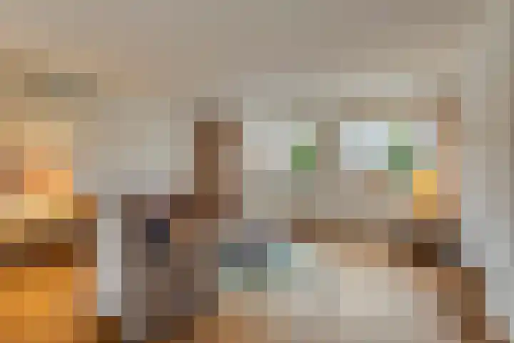 Jaagvelden 84 Best thumbnail 8