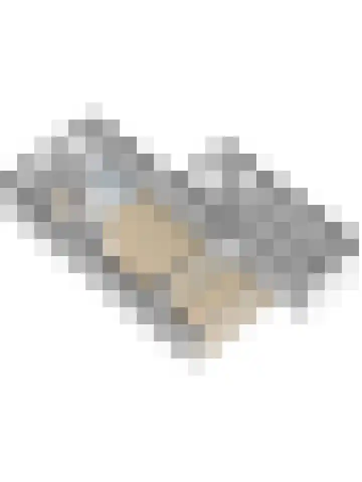 Jaap Edenbaan 3 Haarsteeg thumbnail 40