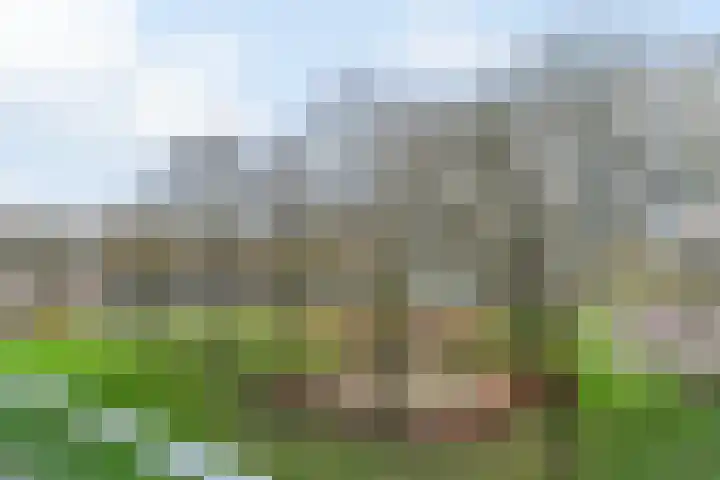 Jaap Edendreef 128 Utrecht thumbnail 17