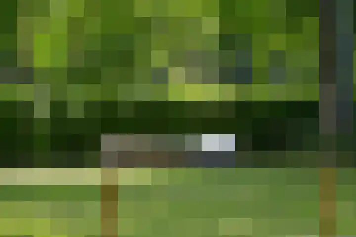 Jachthuislaan 70 Soest thumbnail 19