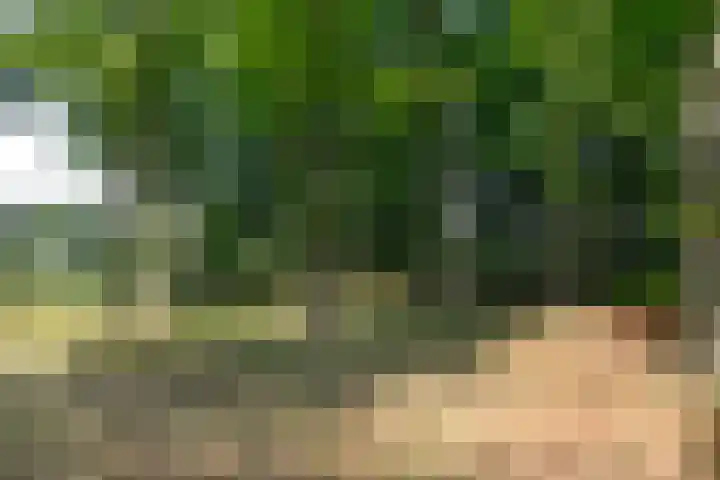 Jachthuislaan 70 Soest thumbnail 22