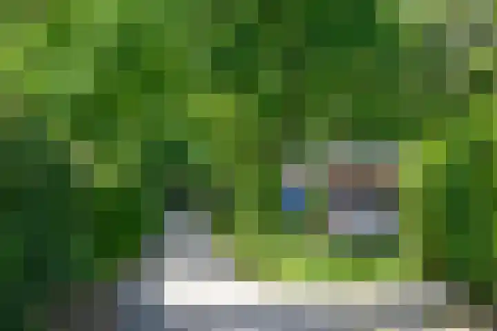 Jachthuislaan 70 Soest thumbnail 23