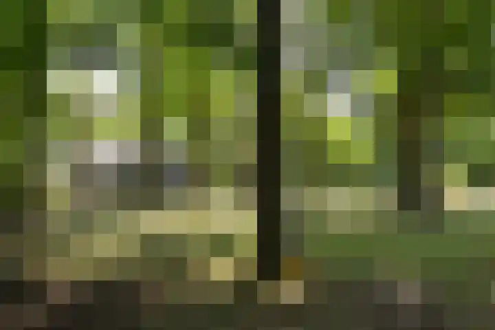 Jachthuislaan 70 Soest thumbnail 24