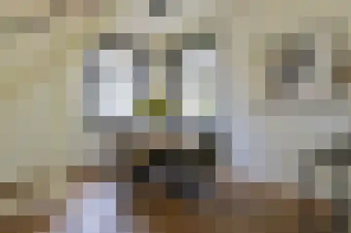 Jachthuislaan 70 Soest thumbnail 7