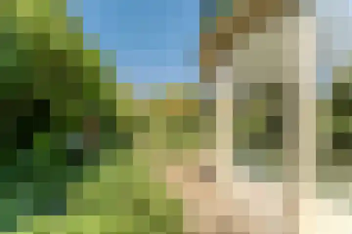 Jachtopziener 1 Leusden thumbnail 14