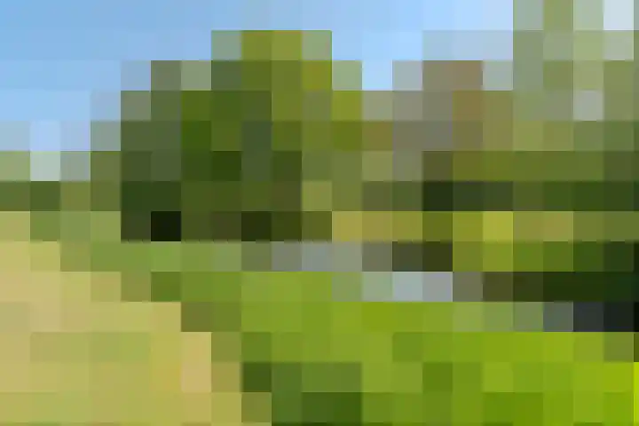 Jachtopziener 1 Leusden foto 2