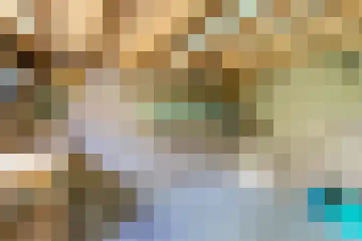 Jachtopziener 1 Leusden thumbnail 24