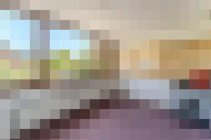 Jachtopziener 1 Leusden thumbnail 26