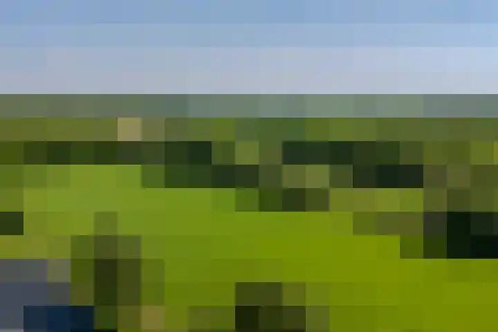 Jachtopziener 1 Leusden foto 3