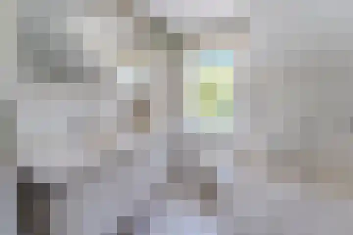 Jachtopziener 1 Leusden thumbnail 33