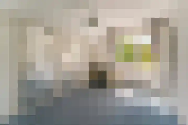Jachtopziener 1 Leusden thumbnail 38