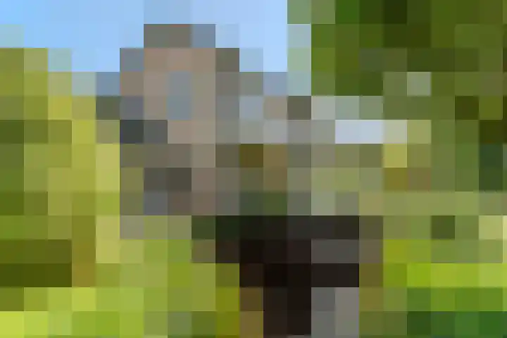 Jachtopziener 1 Leusden thumbnail 40