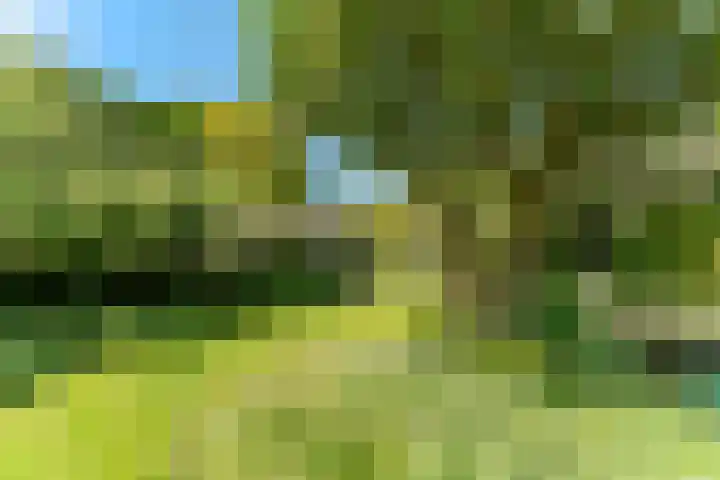 Jachtopziener 1 Leusden thumbnail 42