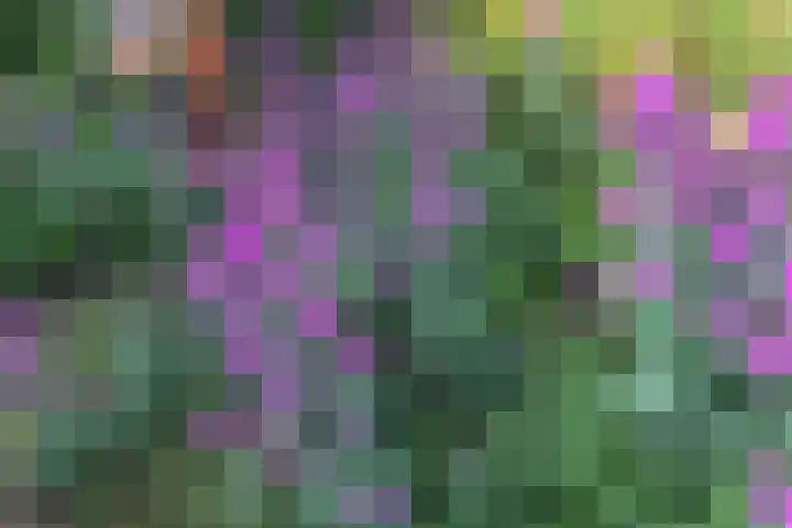 Jachtopziener 1 Leusden thumbnail 43