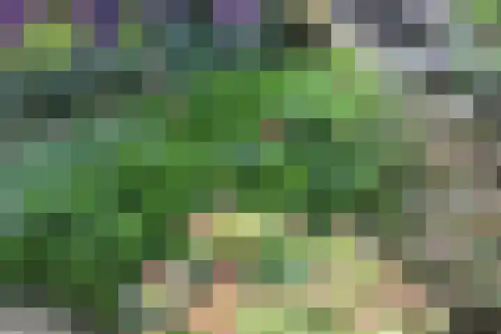 Jachtopziener 1 Leusden thumbnail 44
