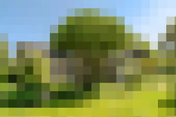 Jachtopziener 1 Leusden thumbnail 46