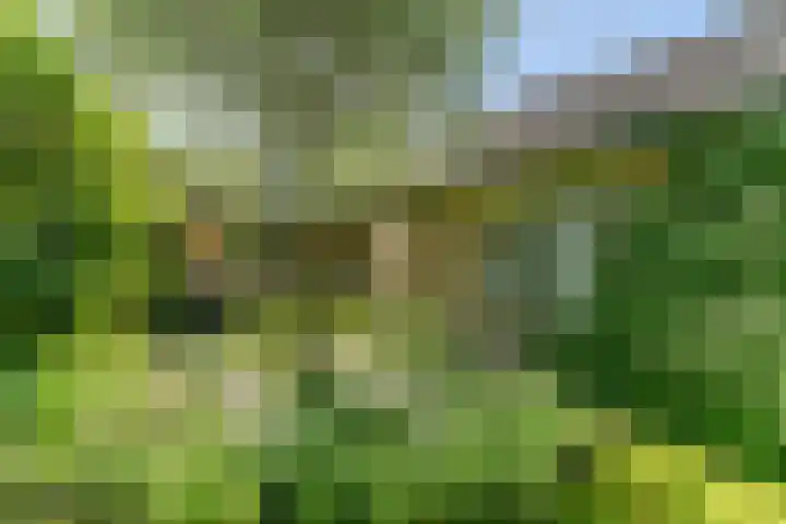 Jachtopziener 1 Leusden thumbnail 48