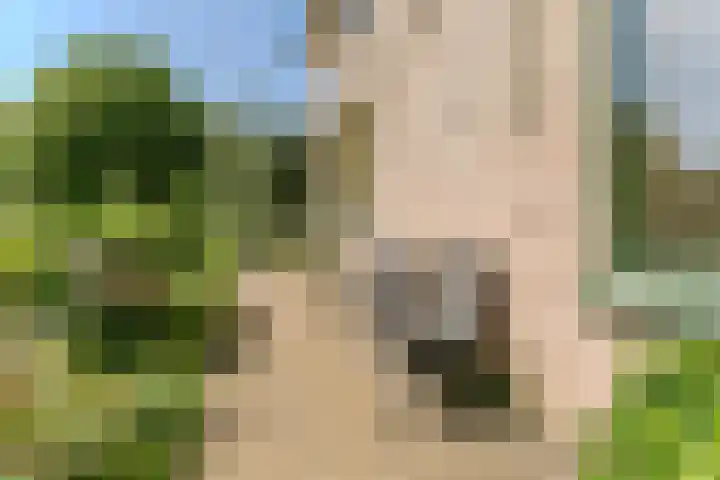 Jachtopziener 1 Leusden thumbnail 50