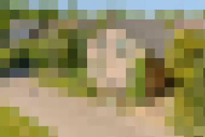 Jachtopziener 1 Leusden thumbnail 51