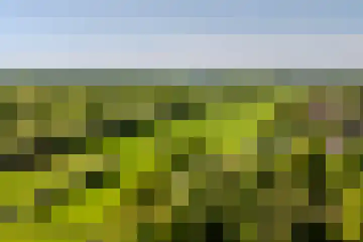 Jachtopziener 1 Leusden thumbnail 53