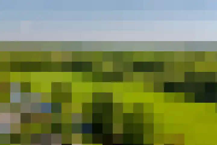 Jachtopziener 1 Leusden thumbnail 54