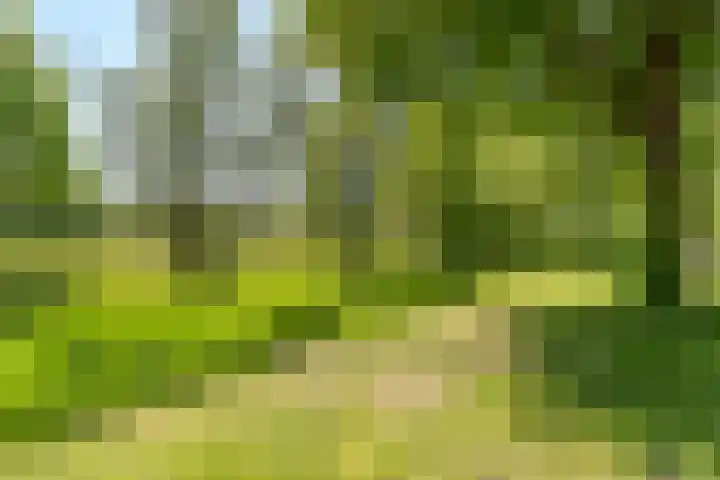 Jachtopziener 1 Leusden thumbnail 55