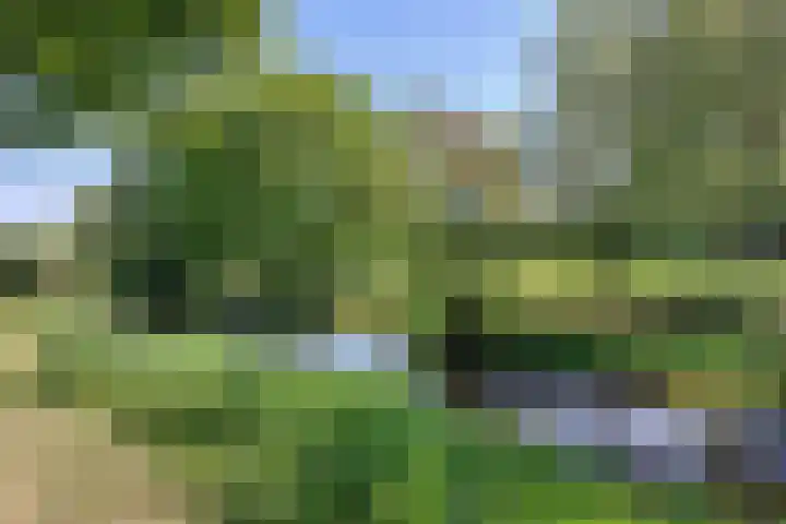 Jachtopziener 1 Leusden thumbnail 58