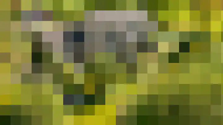 Jachtopziener 1 Leusden thumbnail 65
