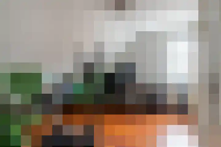 Jachtsloot 5 Hank thumbnail 22