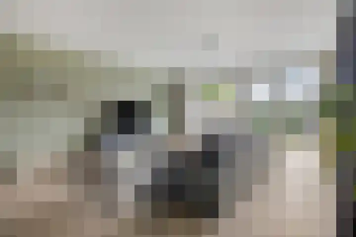 Jachtsloot 5 Hank thumbnail 32