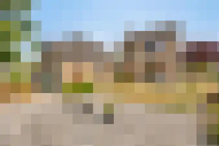 Jacintastraat 14 Graauw thumbnail 21