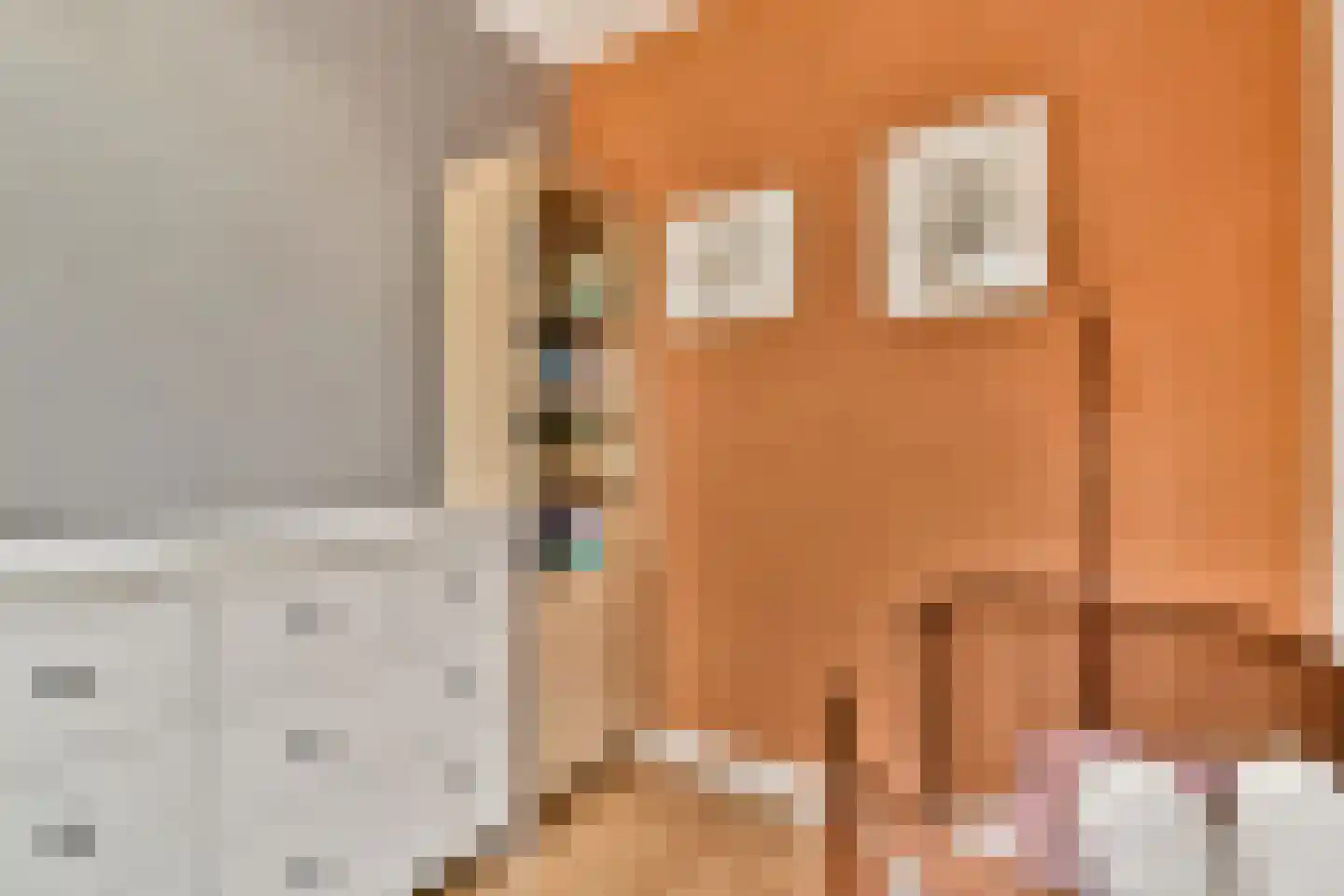 Jacob Catslaan 101 Leiden thumbnail 19