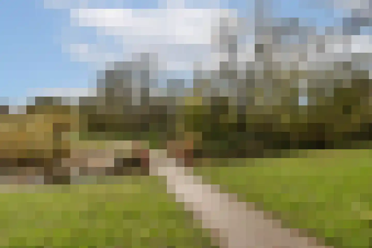 Jacob Catslaan 101 Leiden thumbnail 27