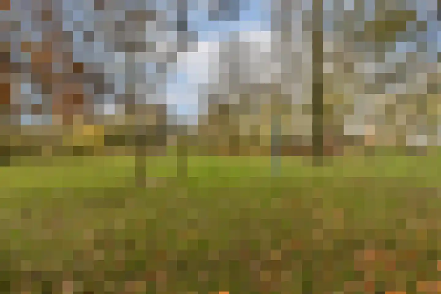 Jacob Catslaan 101 Leiden thumbnail 28