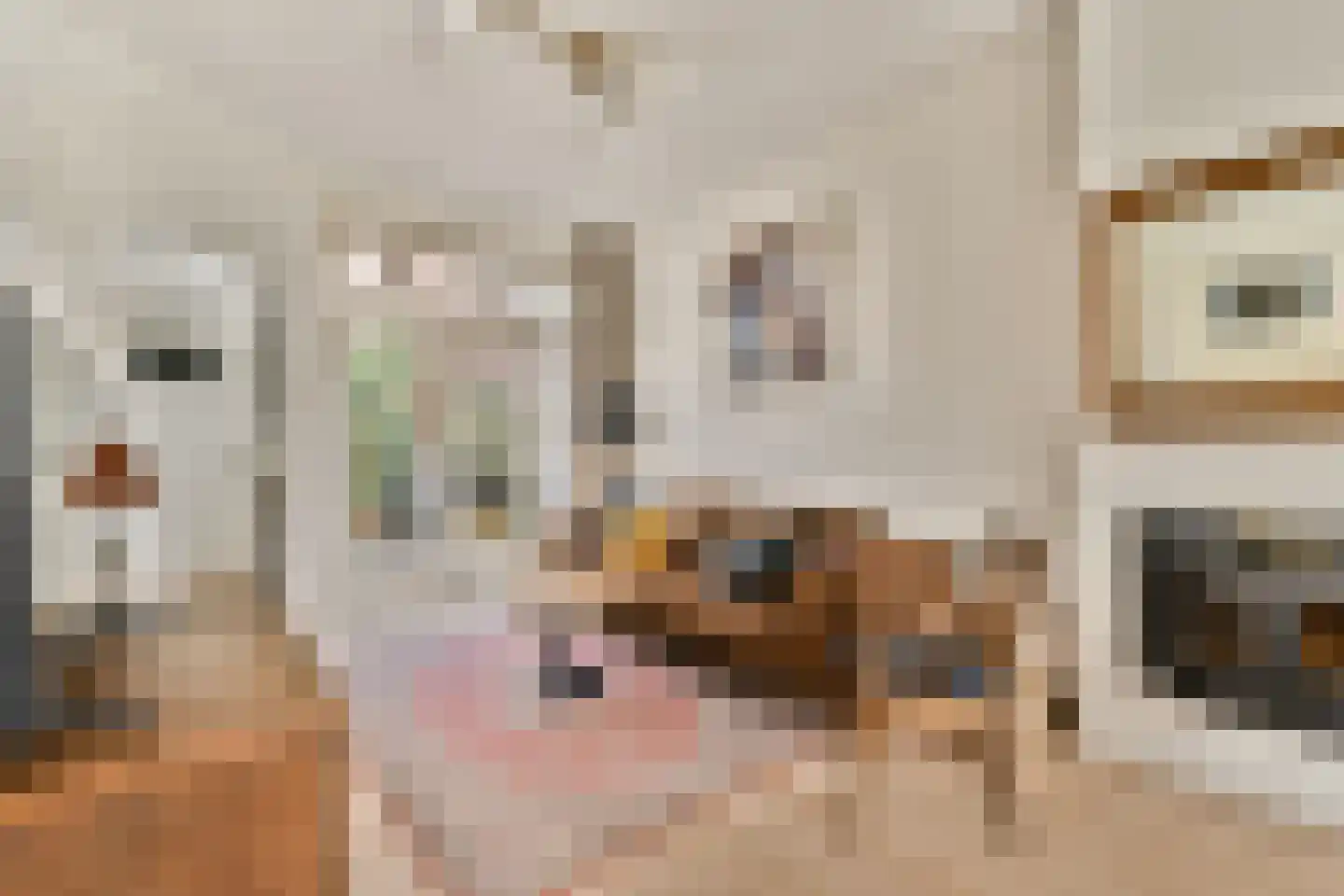 Jacob Catslaan 101 Leiden thumbnail 7
