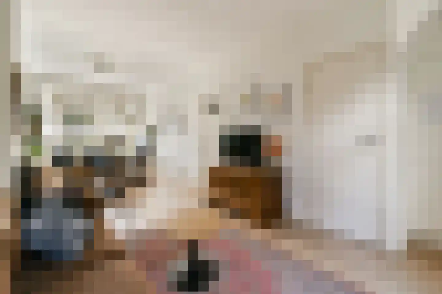 Jacob Catslaan 101 Leiden thumbnail 8