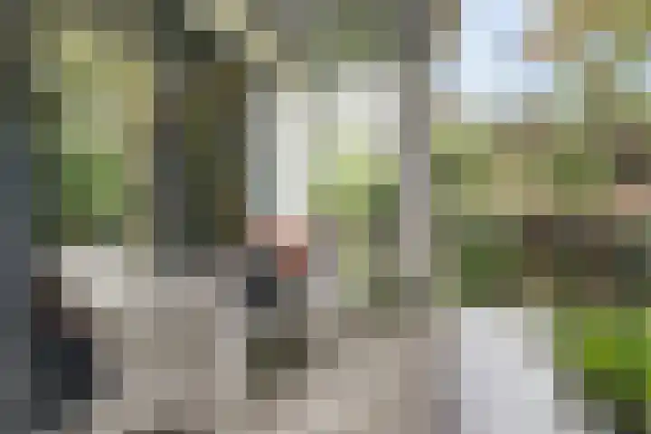 Jacob Catslaan 23 Ermelo thumbnail 10
