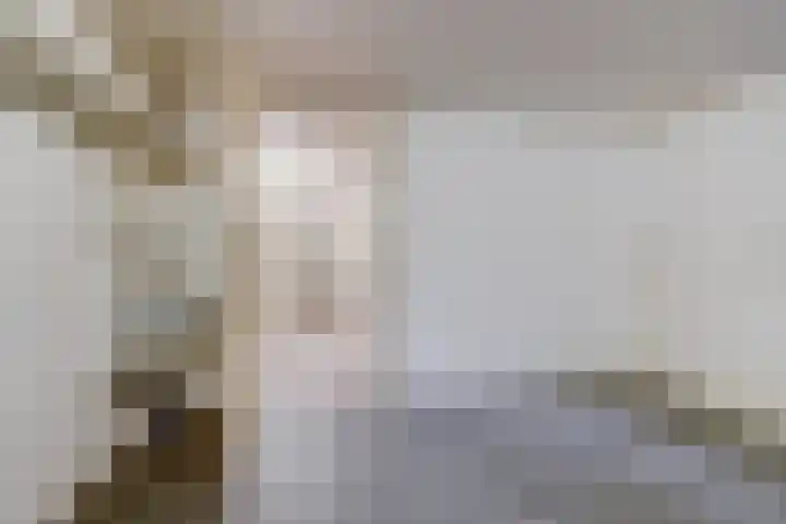 Jacob Catslaan 23 Ermelo thumbnail 32