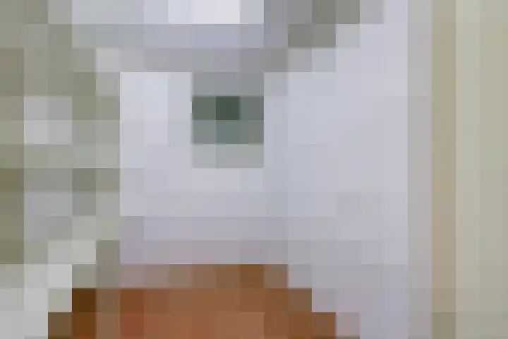 Jacob Catslaan 23 Ermelo thumbnail 33