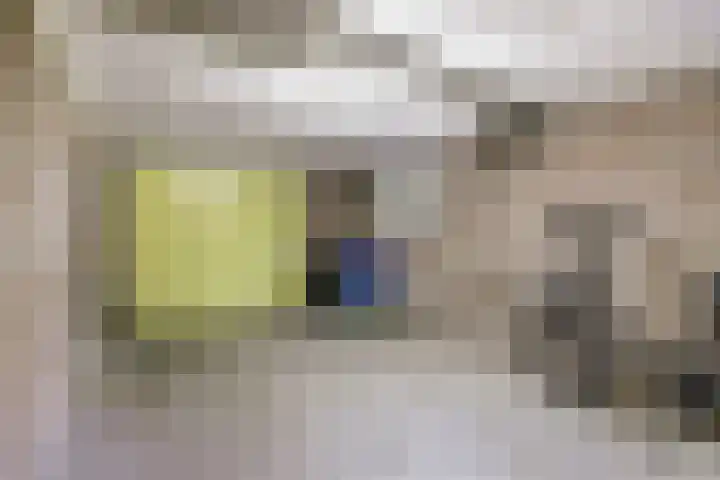 Jacob Catslaan 23 Ermelo thumbnail 37