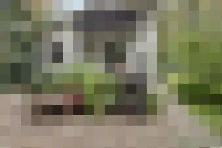 Jacob Catslaan 23 Ermelo thumbnail 39