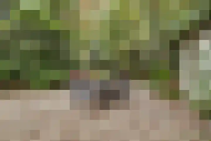 Jacob Catslaan 23 Ermelo thumbnail 4