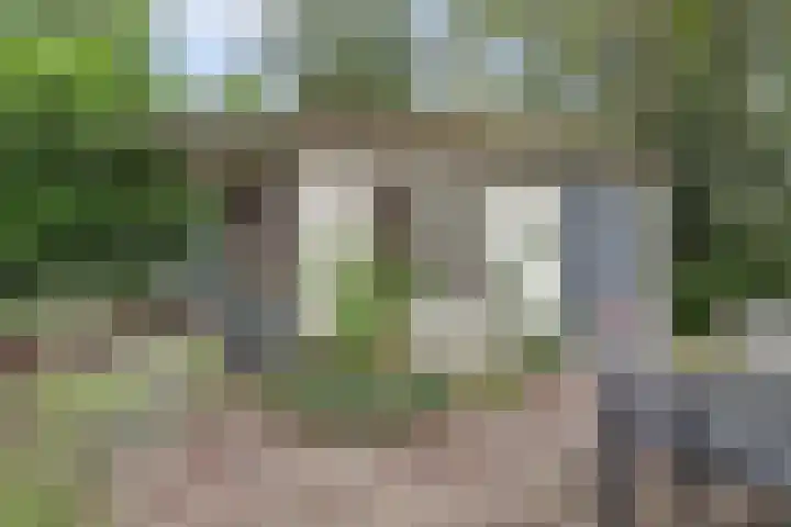 Jacob Catslaan 23 Ermelo thumbnail 42