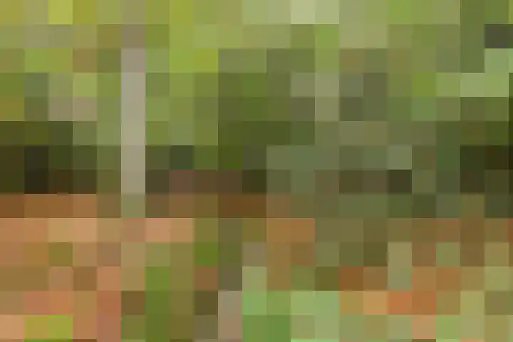 Jacob Catslaan 23 Ermelo thumbnail 49