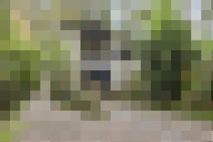 Jacob Catslaan 23 Ermelo thumbnail 5