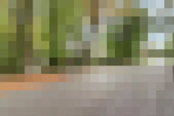 Jacob Catslaan 23 Ermelo thumbnail 53